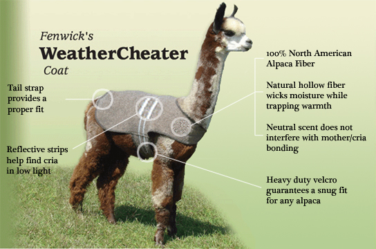 Alpaca Coats :: Fenwick WeatherCheater - Weanling - 22
